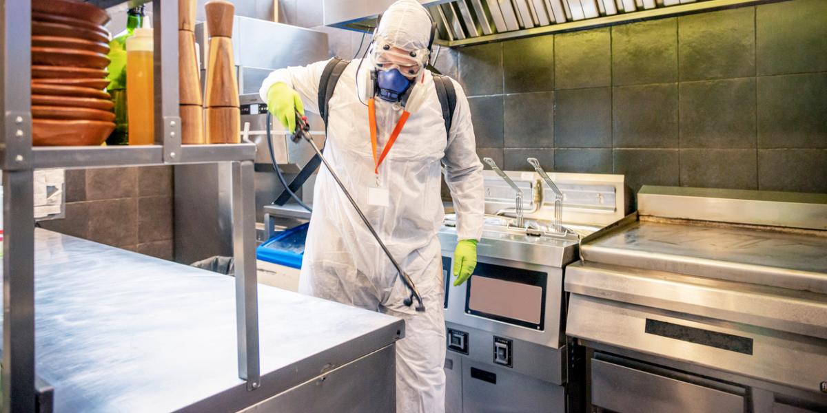 香港 九龍除蟑螂公司推薦